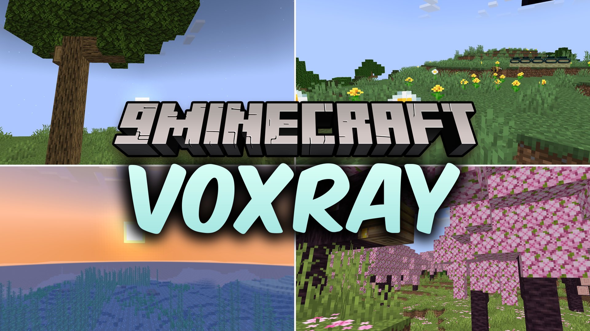 Voxray Shaders