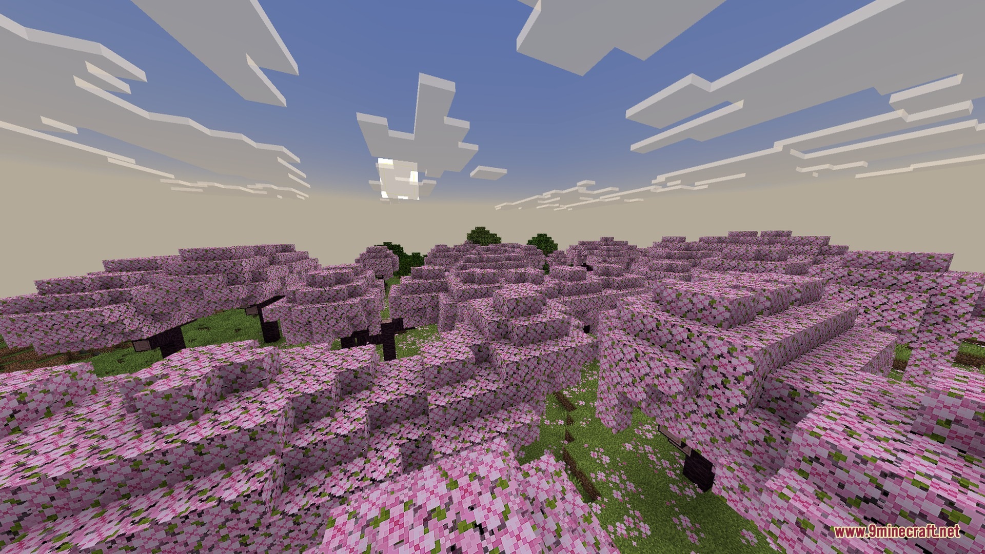 Warden to Entitys Shader Screenshot 3 Warden to Entitys Shader Screenshot 3