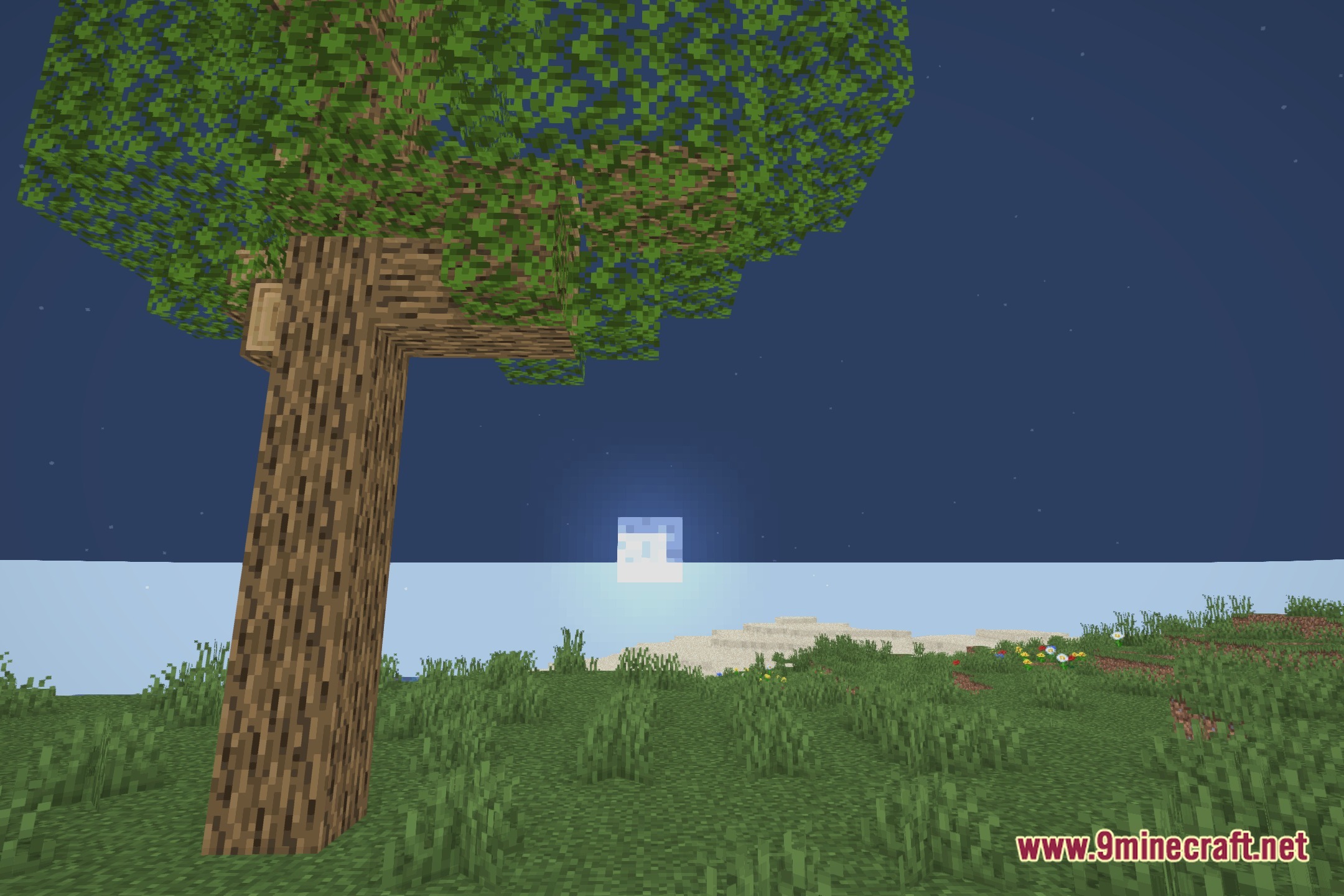 Xelvora Shaders Screenshot 4