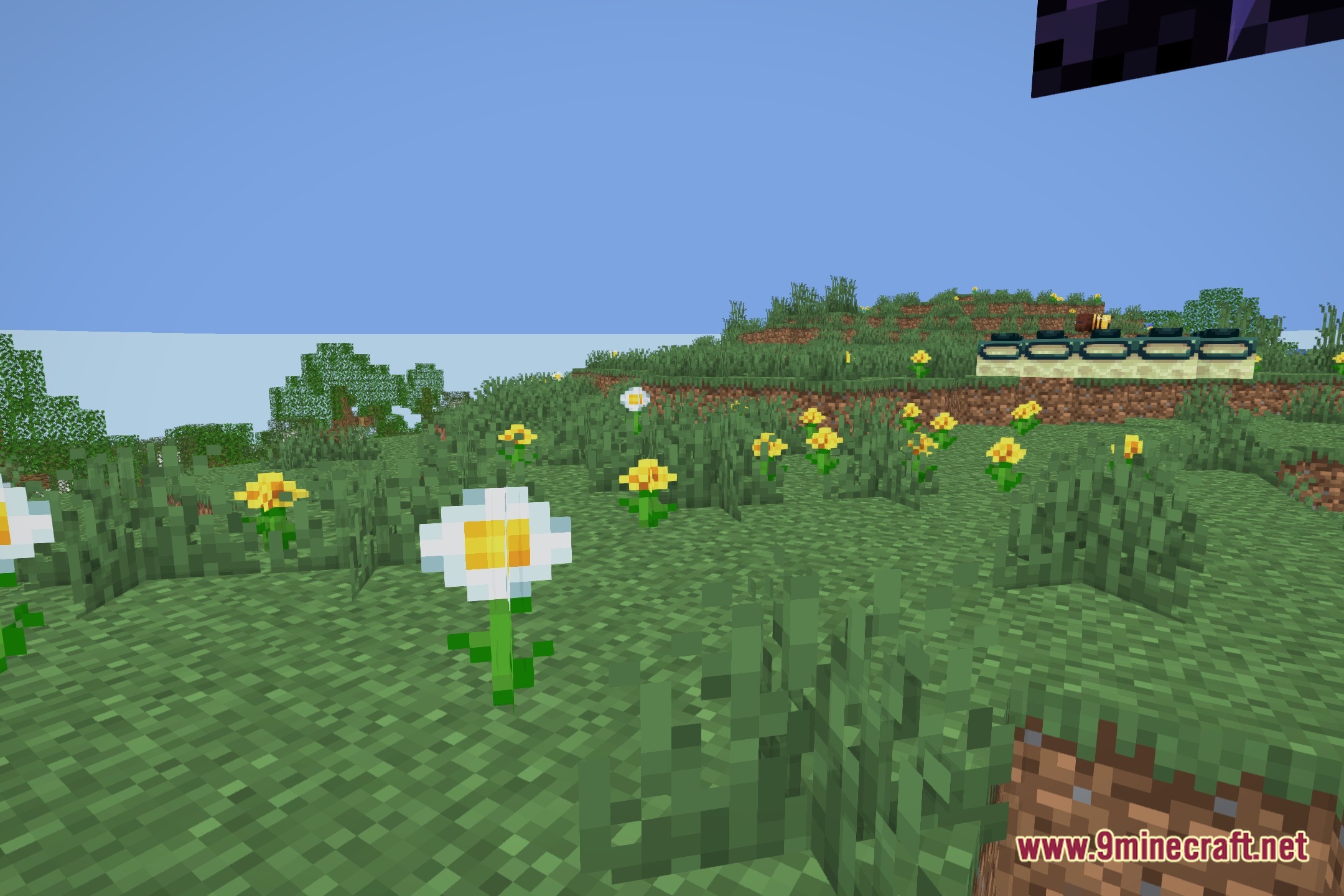 Xelvora Shaders Screenshot 5
