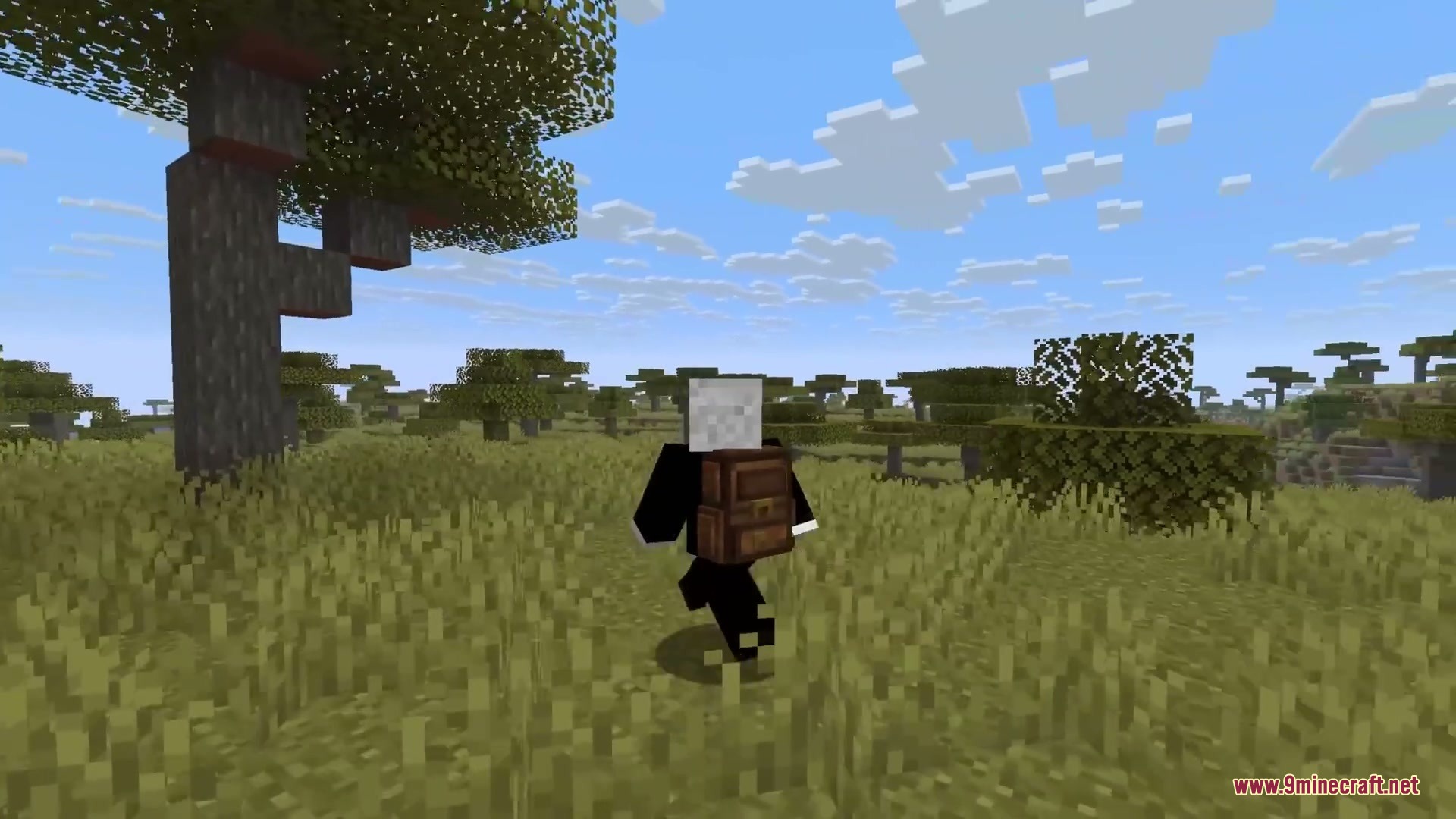 Yyzsbackpack Mod Screenshot 1