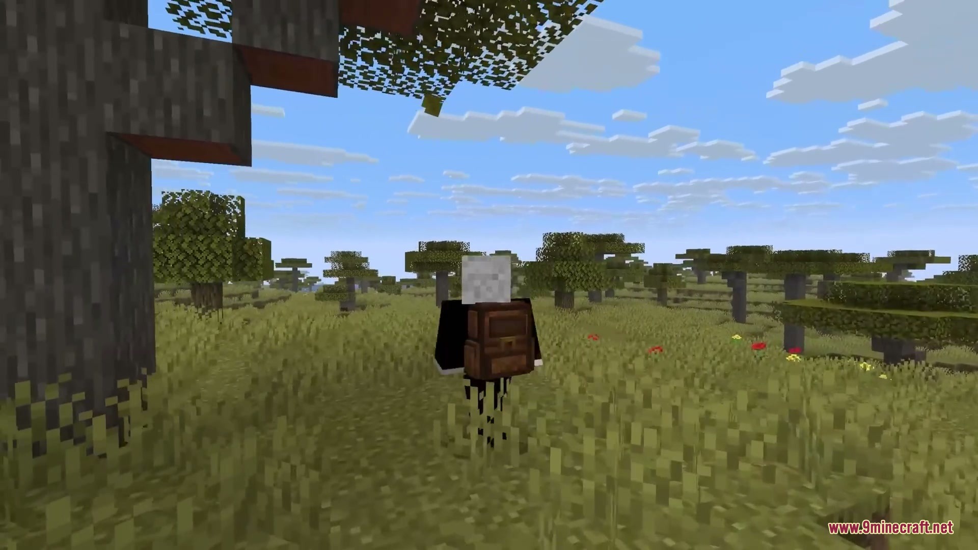 Yyzsbackpack Mod Screenshot 3