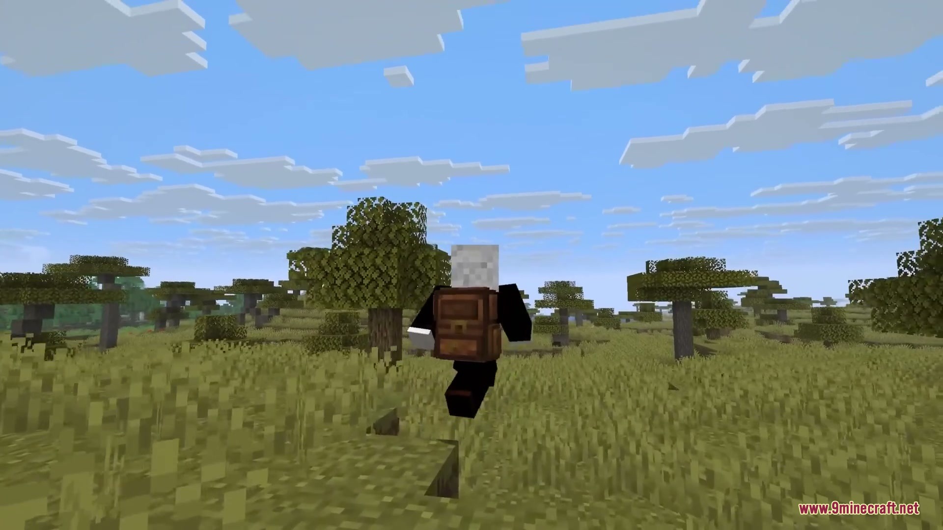Yyzsbackpack Mod Screenshot 4