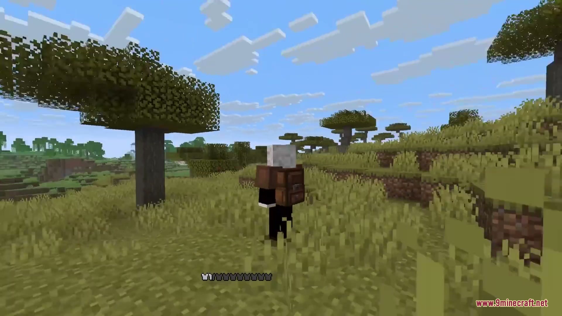 Yyzsbackpack Mod Screenshot 7