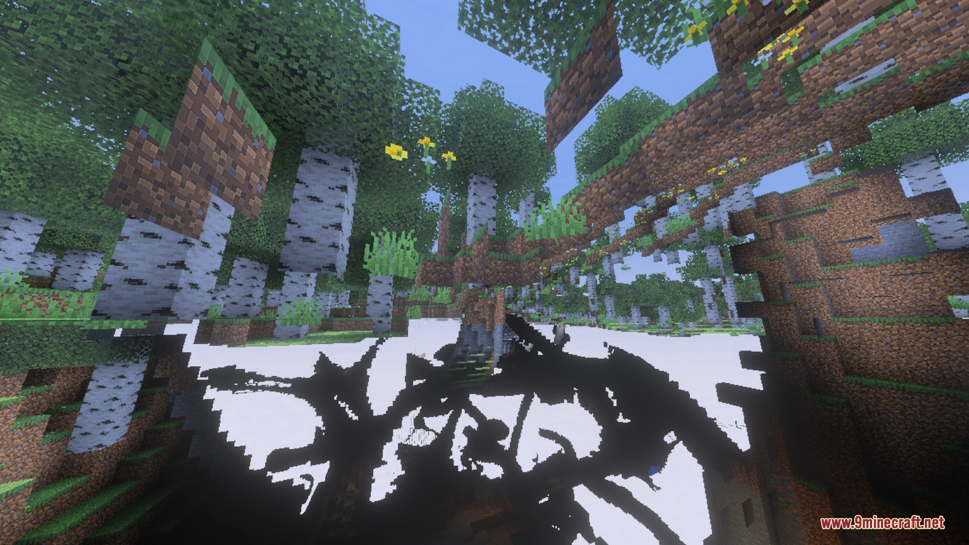 ZZZ VIBRANT VISUAL Shader Screenshot 3 Birch forest in Minecraft showing unique high contrast visual effects on the ground
