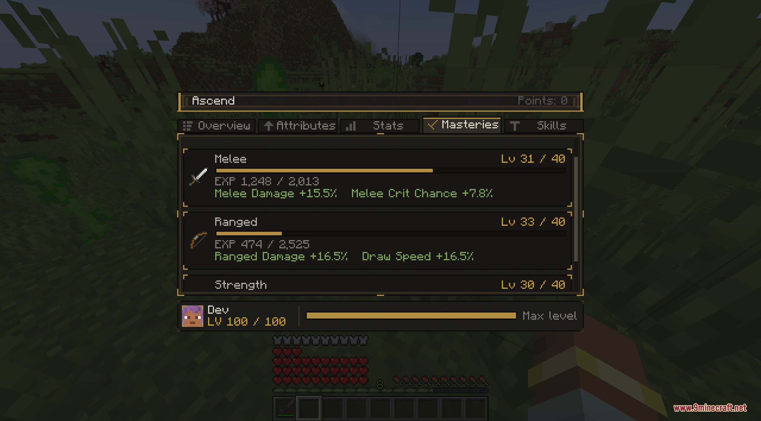 Zenith Scale Foundation Mod Screenshot 5 Character menu displaying melee and ranged mastery levels in a custom interface