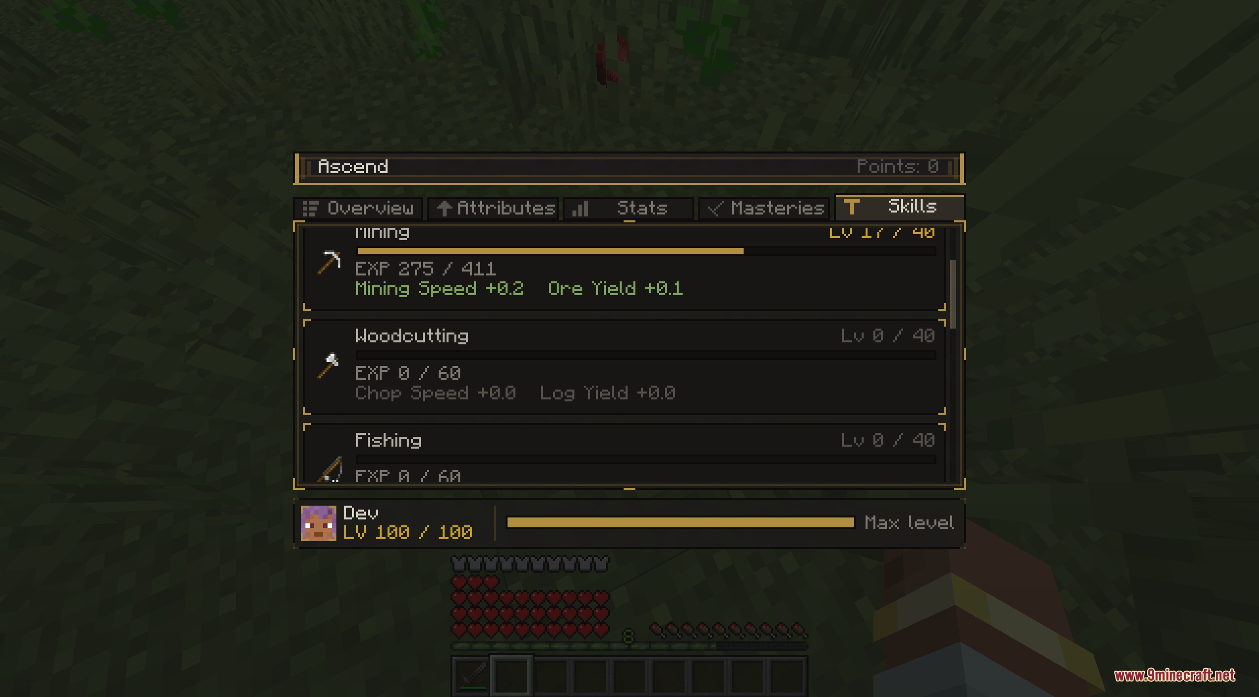 Zenith Scale Foundation Mod Screenshot 7 RPG interface displaying character skills and progression in Zenith Scale Foundation Mod