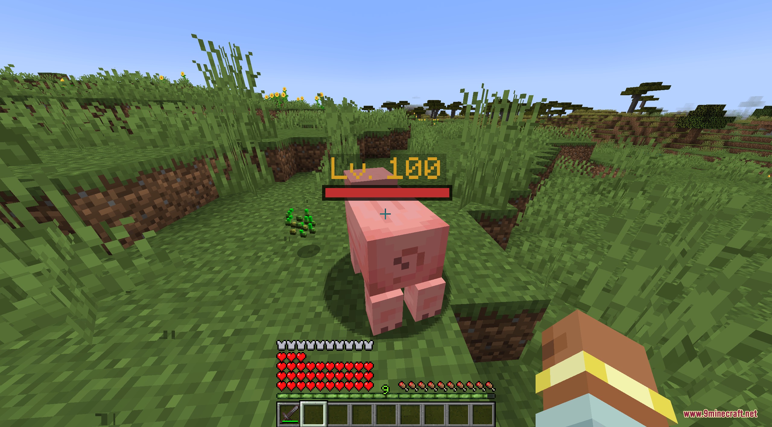 Zenith Scale Foundation Mod Screenshot 8 Minecraft player looking at a level one hundred pig with health bar