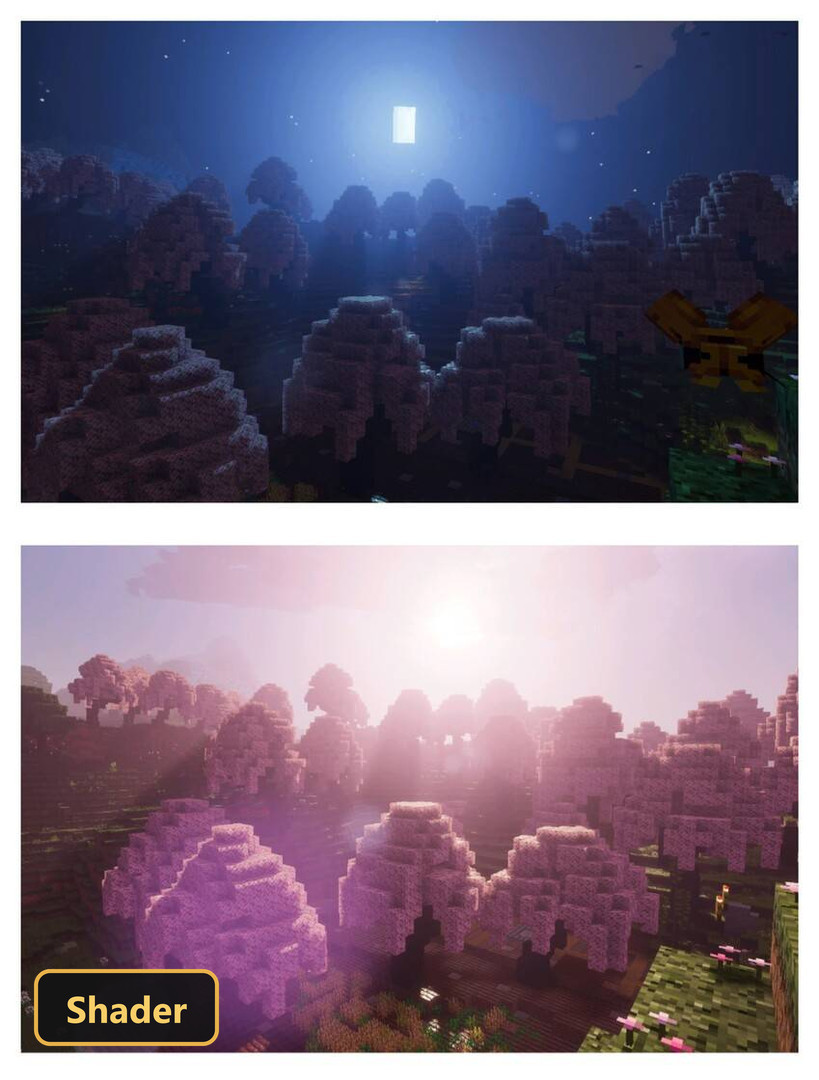 Two scenes: a dark forest at night, and a pink forest at dawn