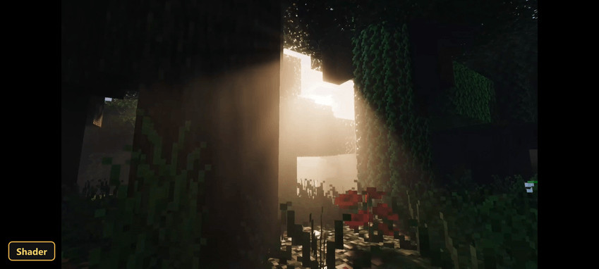 Dark forest scene with strong sun rays breaking through trees