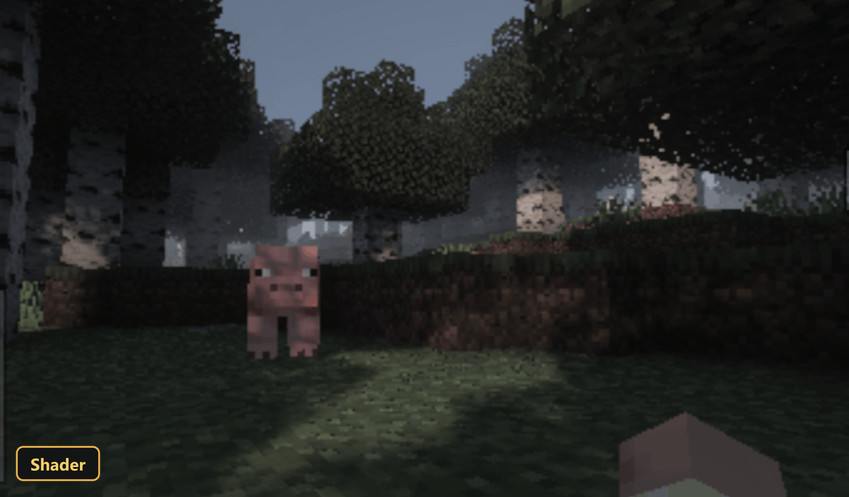 Foggy birch forest with a pig in the foreground