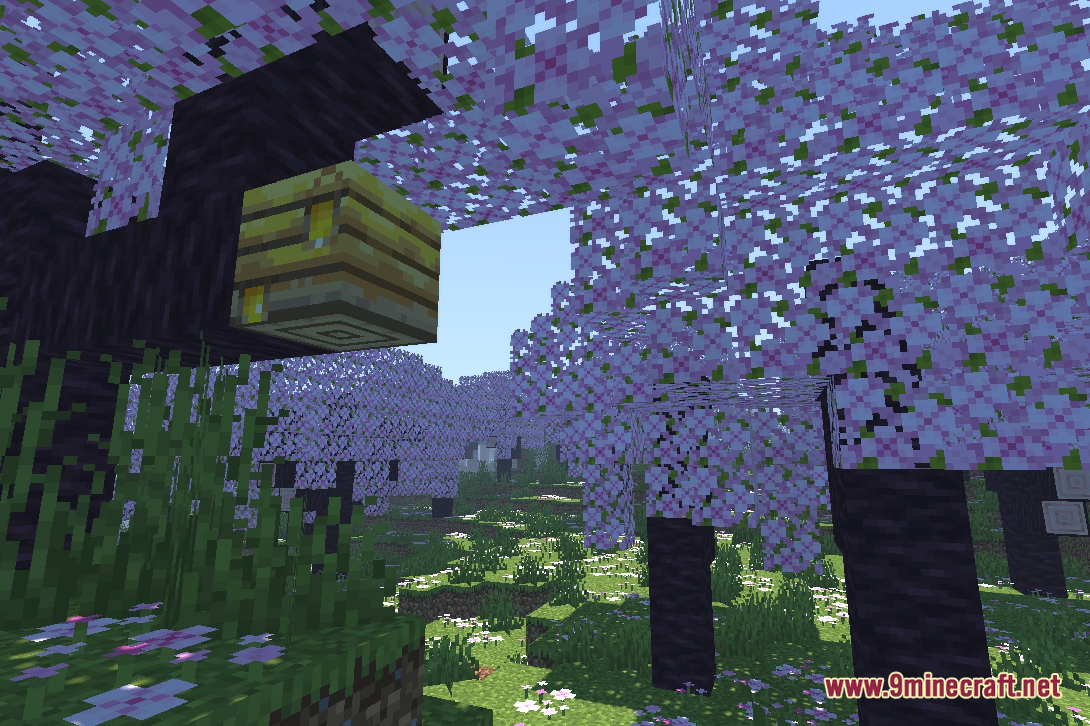 Ziran Shaders Screenshot 1
