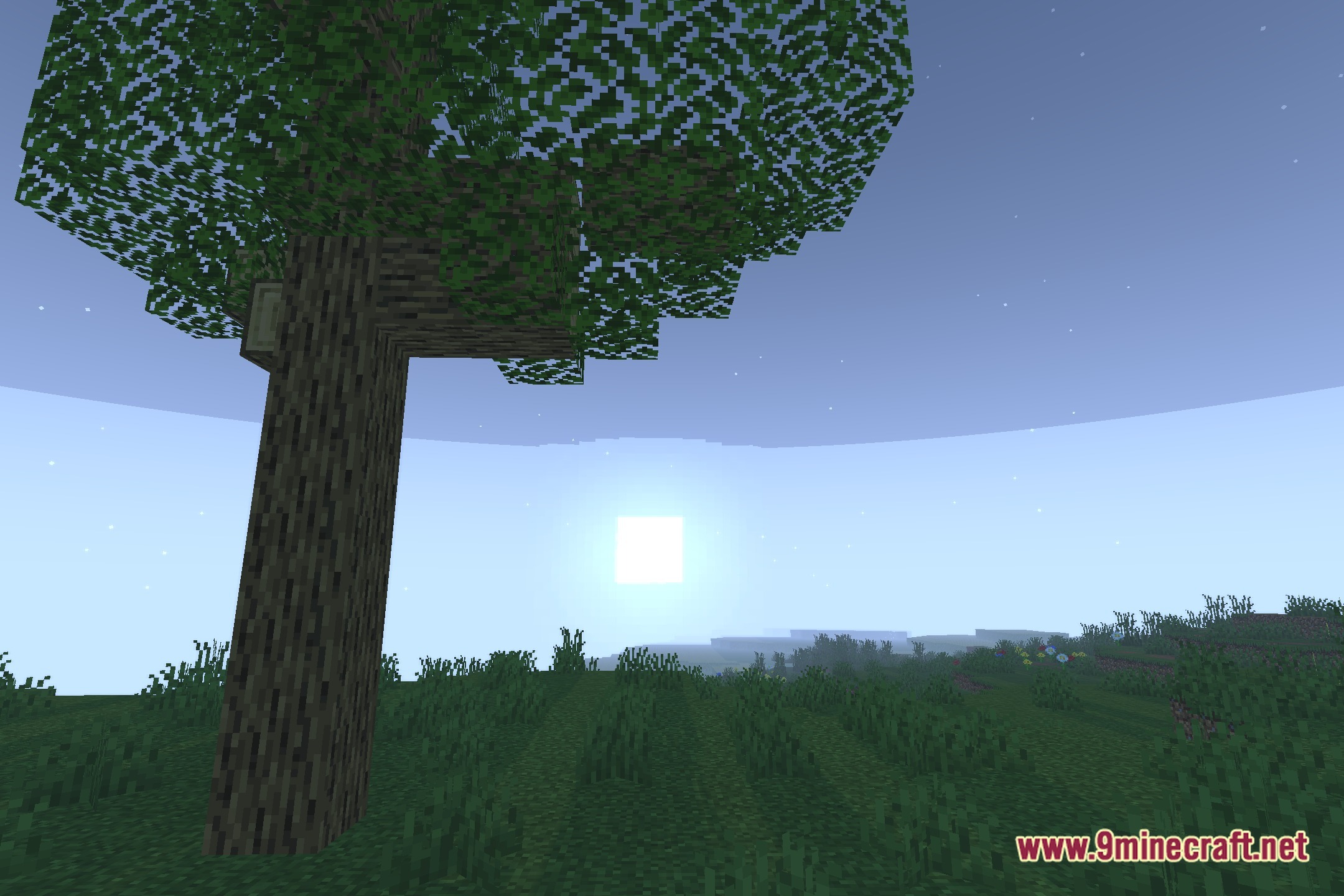 Ziran Shaders Screenshot 4