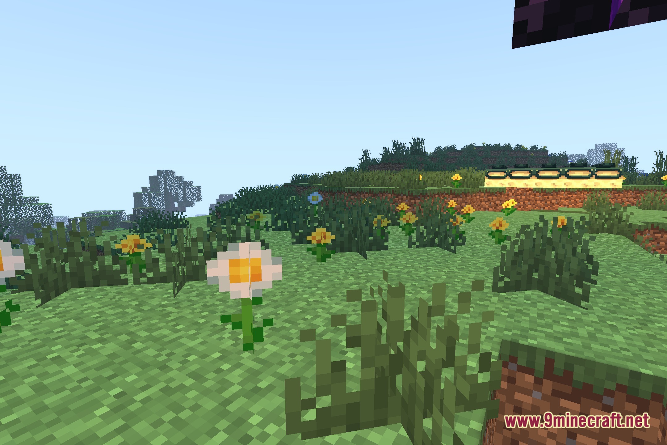 Ziran Shaders Screenshot 5