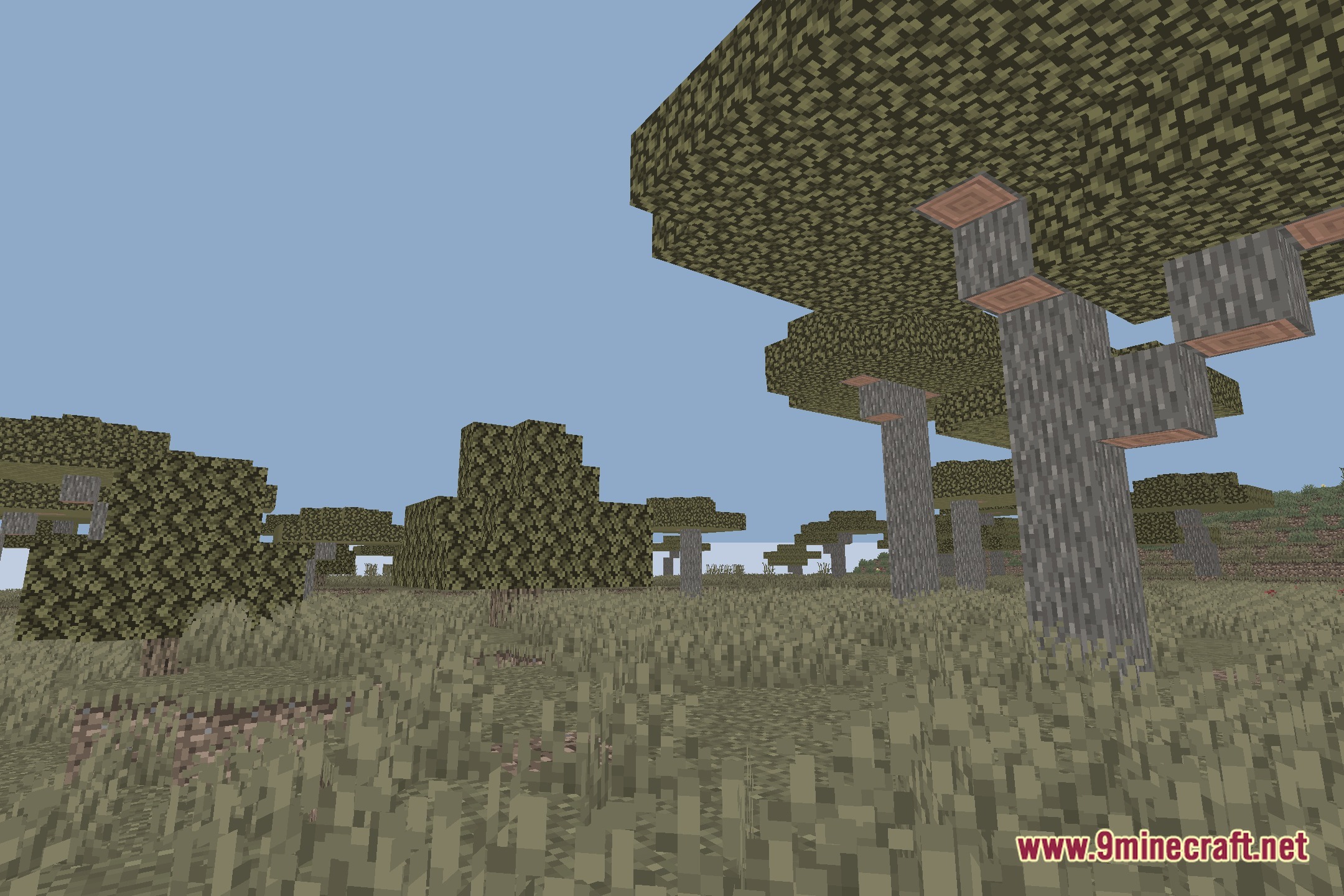 Zomboid Top Down View Shaders Screenshot 10