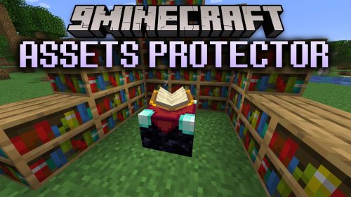 Assets Protector thumbnail