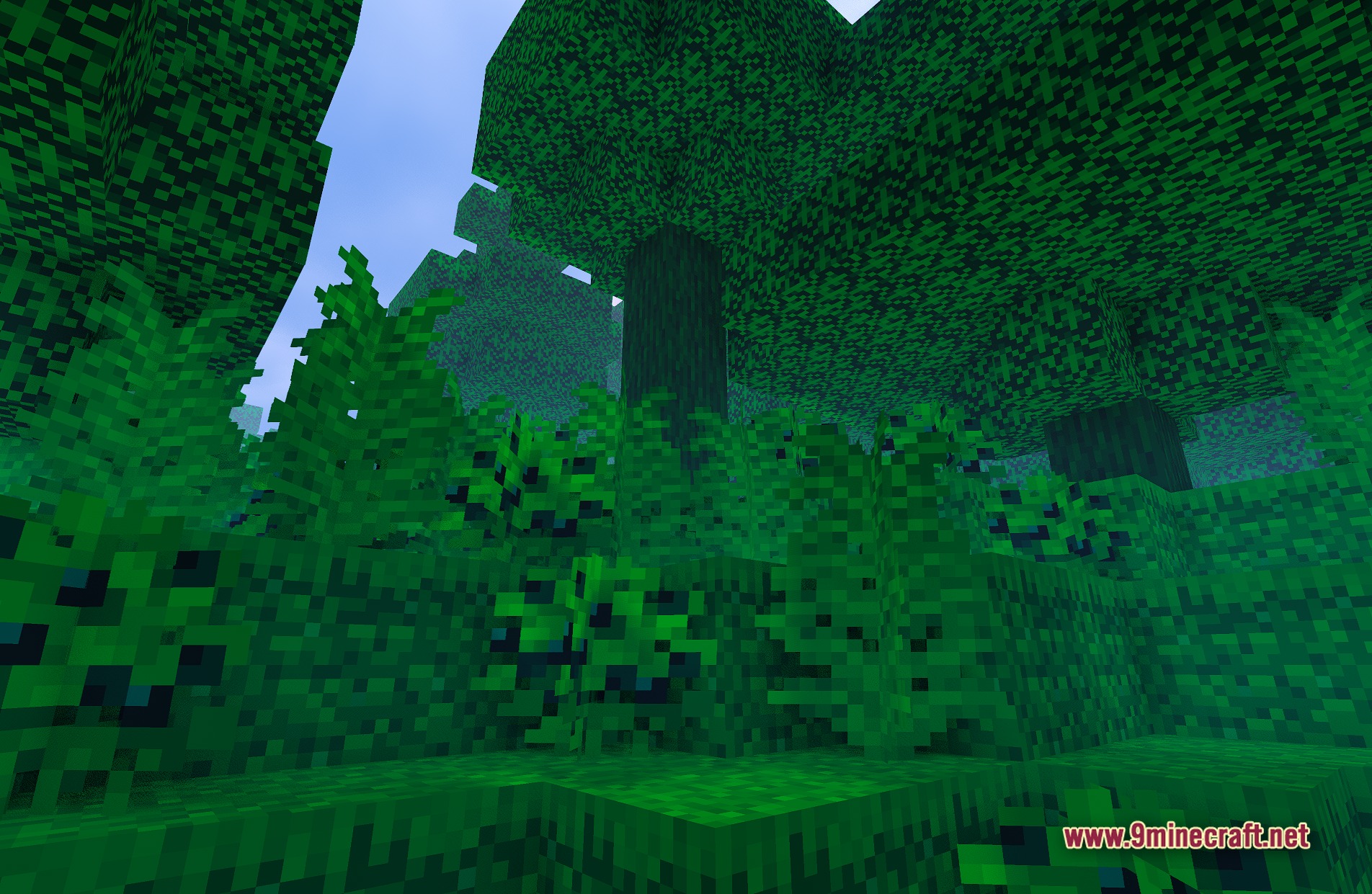 Aurora Fantasy Shaders Screenshot 2