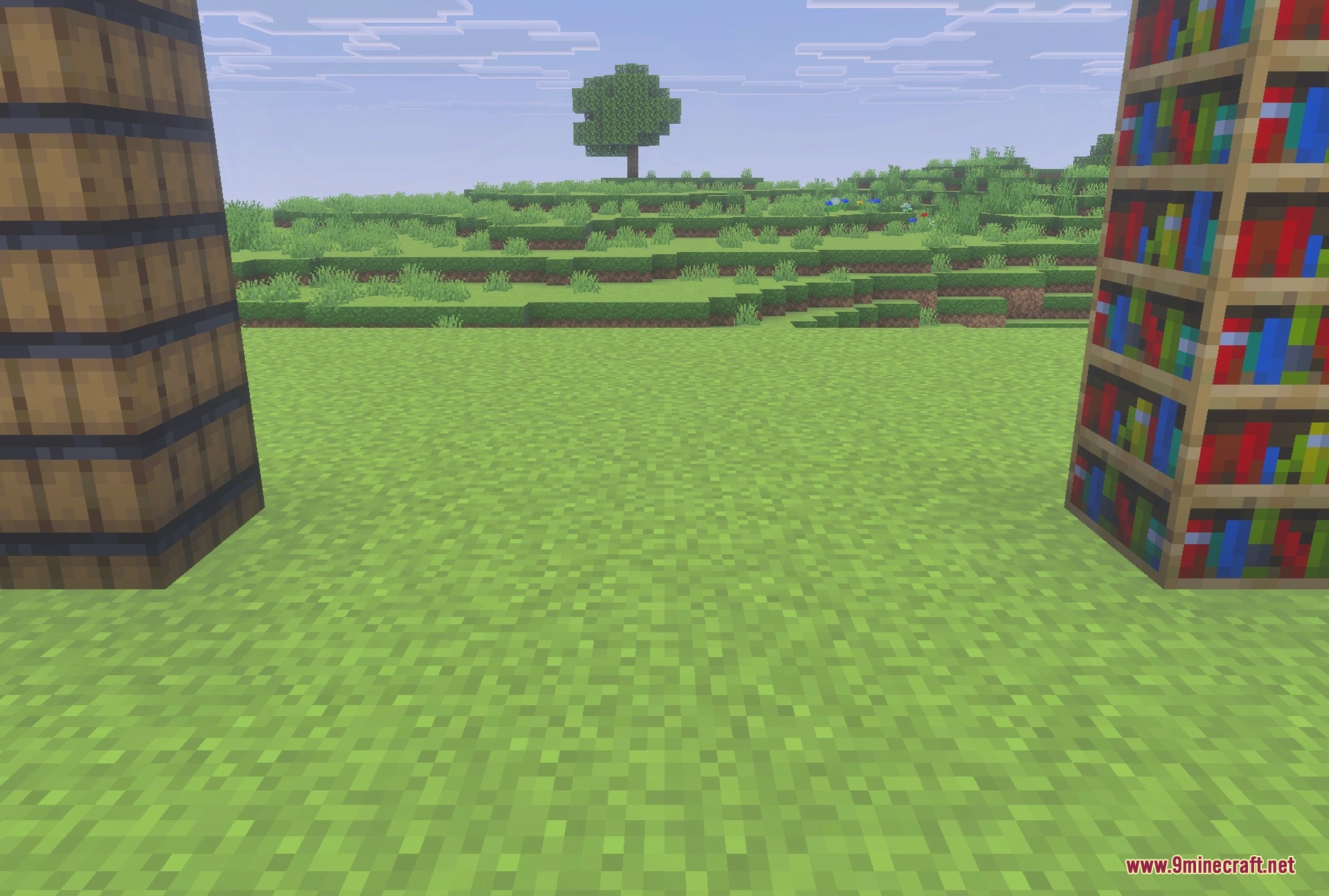 Barrel and bookshelf faces redrawn up close