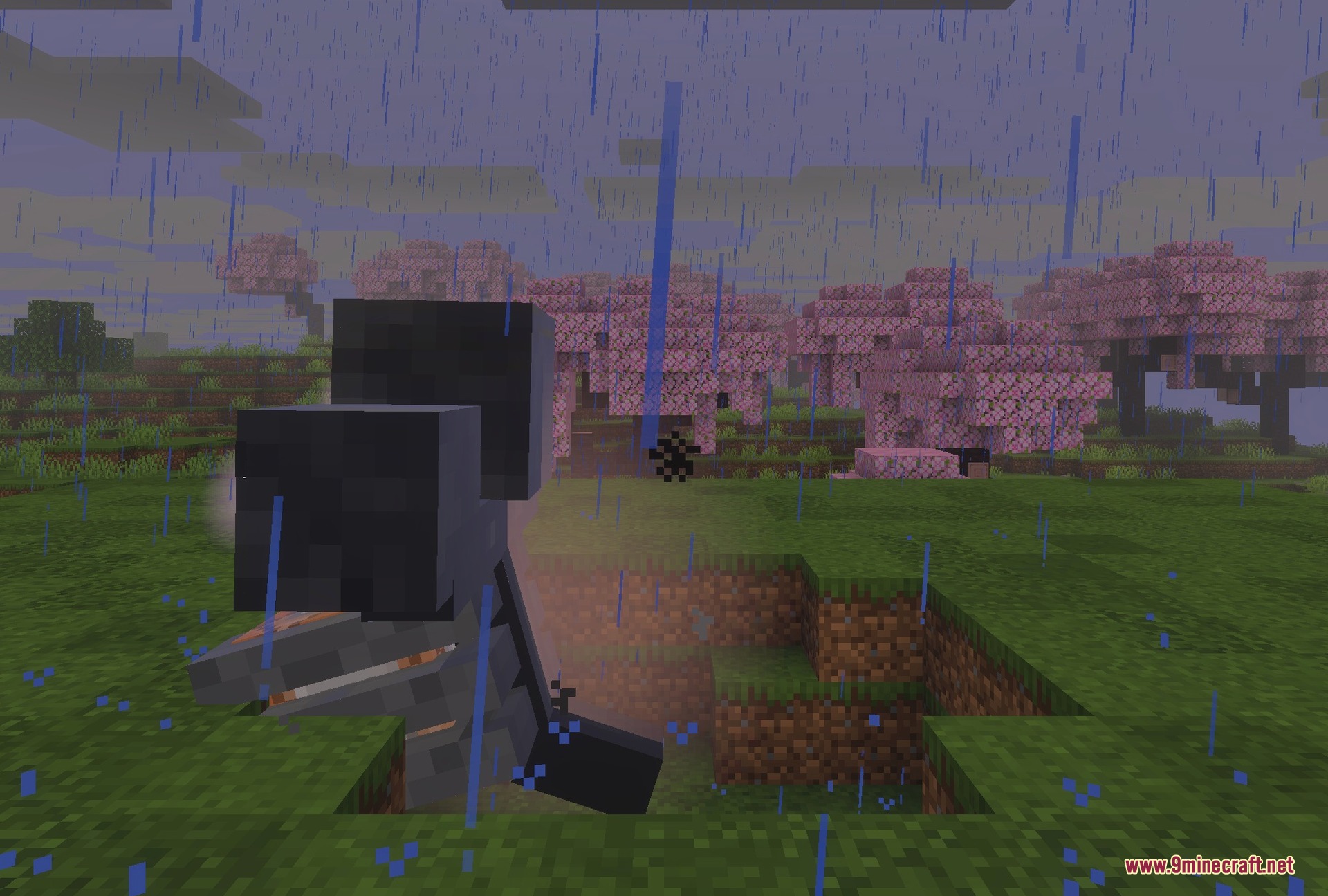 Another look at the head as the storm feeds