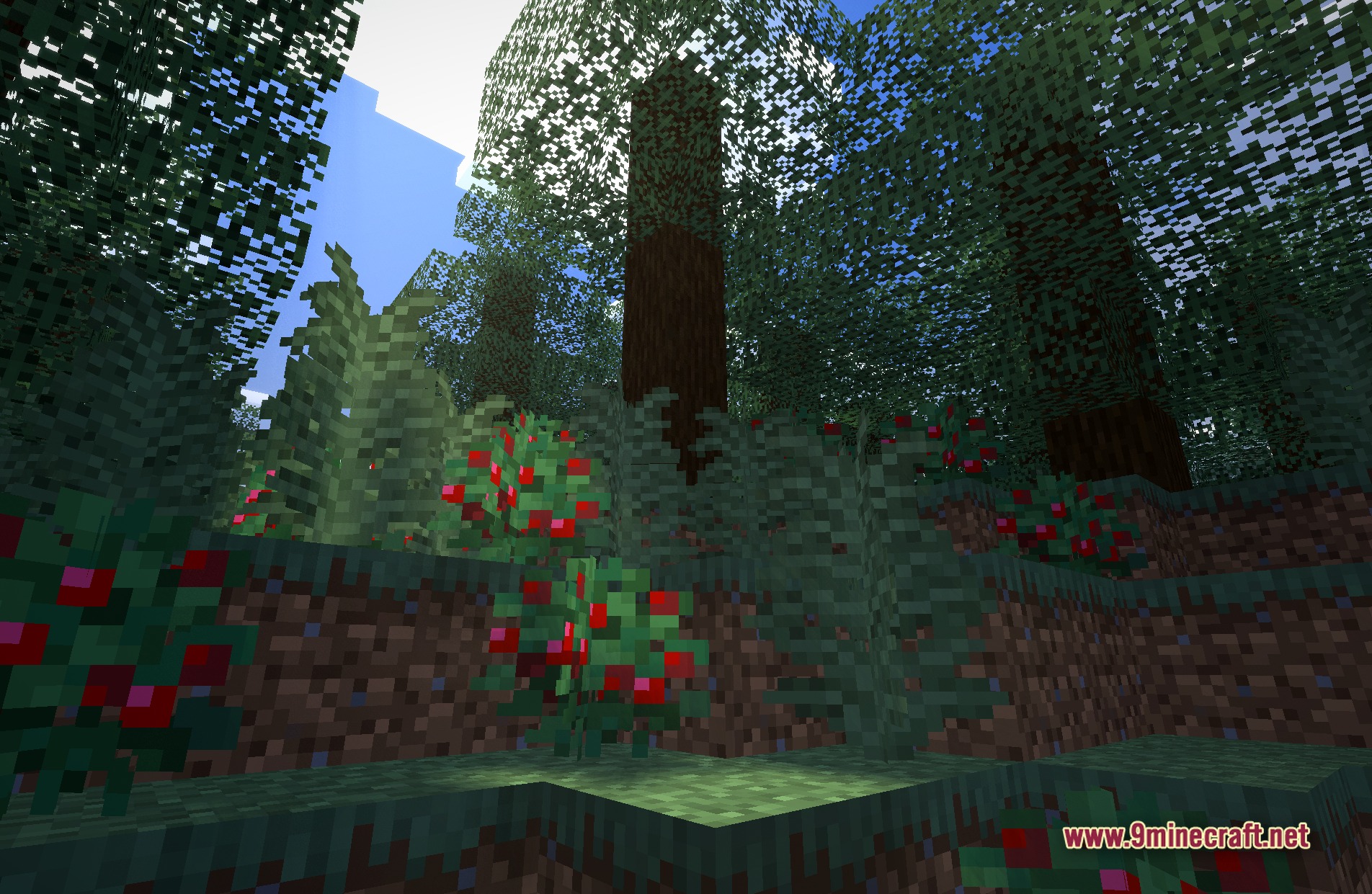 Faded Summer Memories Shaders (26.2, 1.20.1) – Warm Fantasy Color Grading — screenshot 7