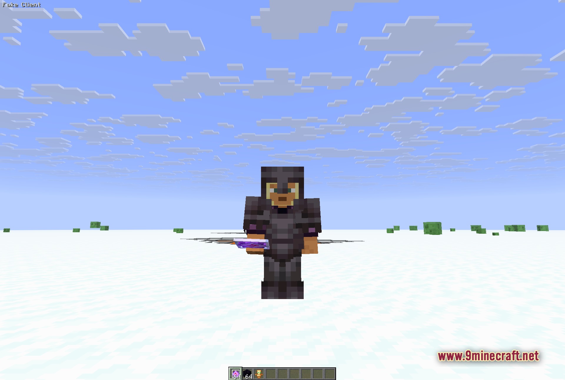 Fake Client Mod Screenshot 3