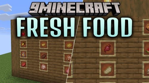 Fresh Food thumbnail
