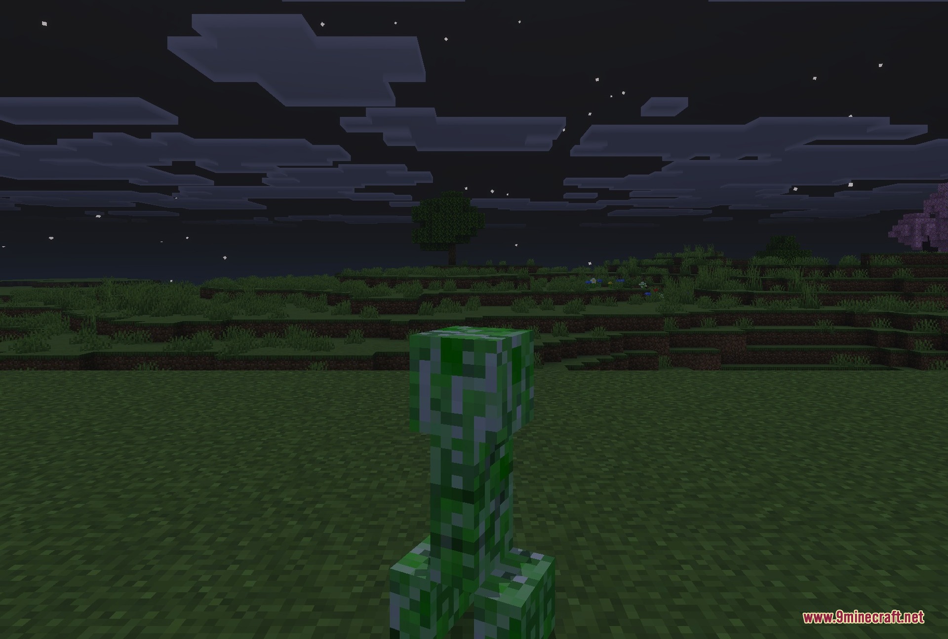 FullBright Pro Texture Pack (26.x, 1.21) – Clear Vision Through Dark Fog — screenshot 5