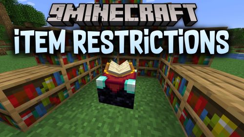 Item Restrictions thumbnail