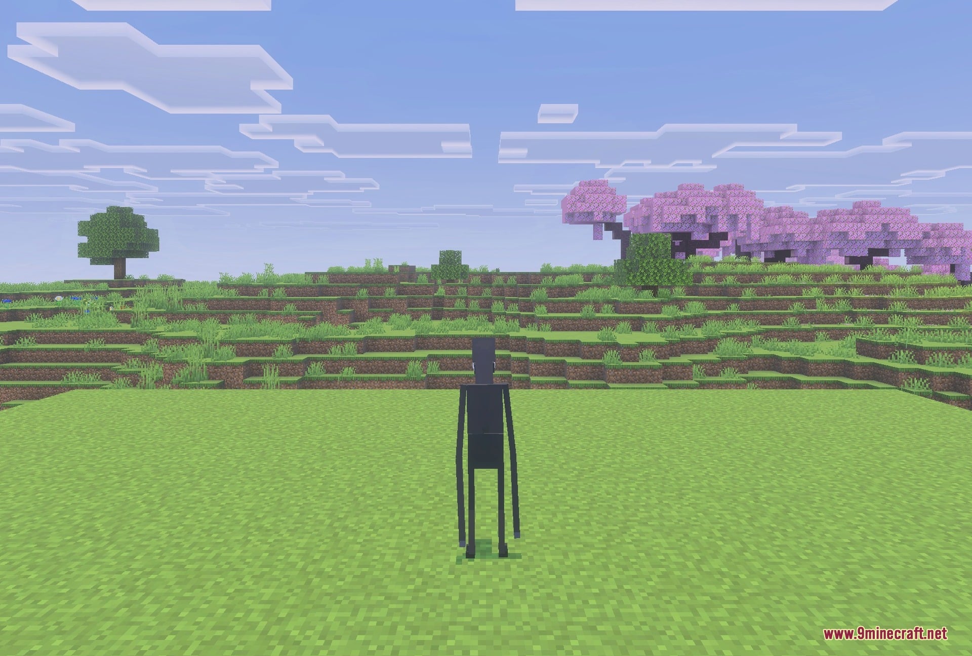Morph Into Mobs Addon (26.x) – Turn Into Any Creature and Use Unique Mob — screenshot 2