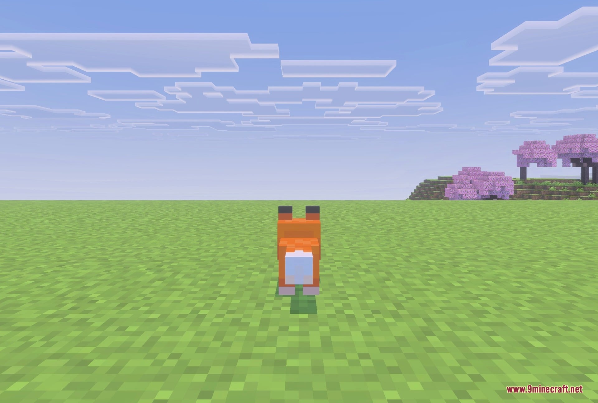 Morph Into Mobs Addon (26.x) – Turn Into Any Creature and Use Unique Mob — screenshot 6