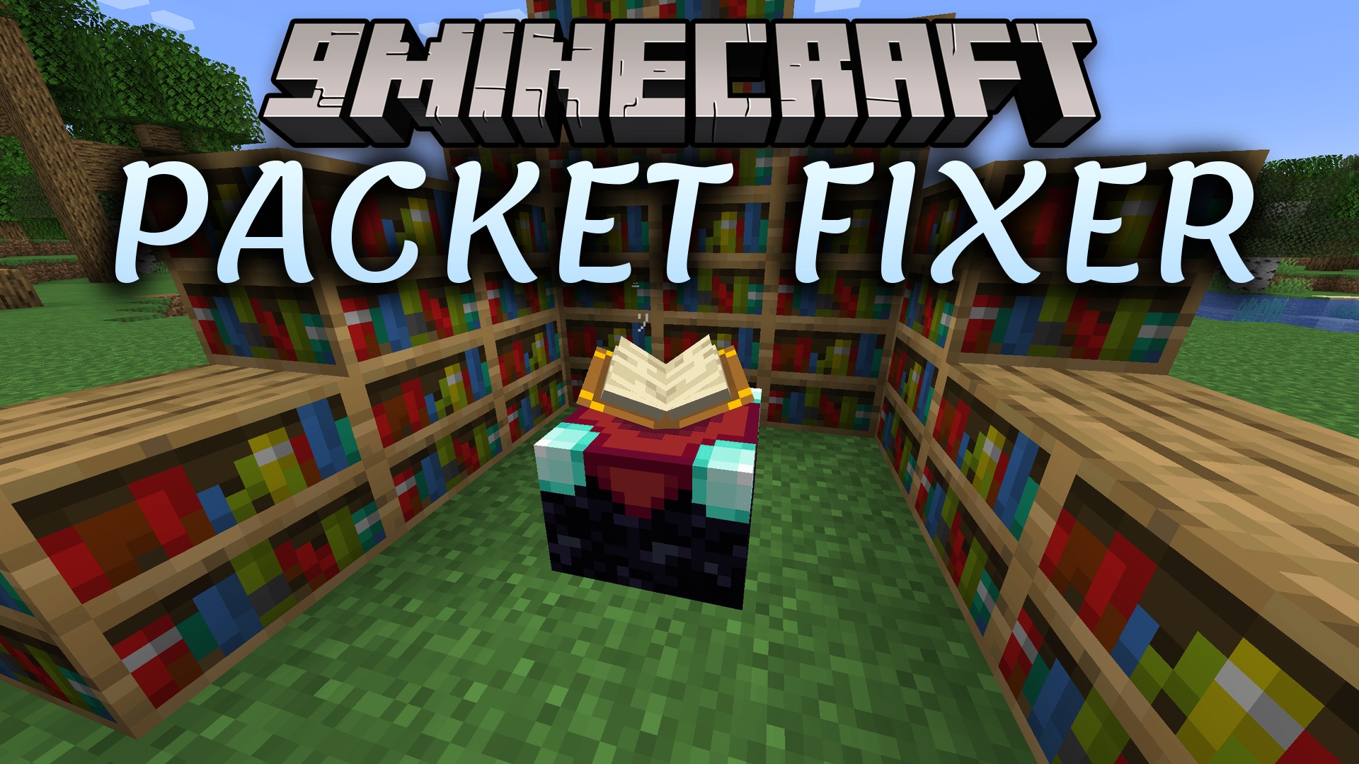 Packet Fixer Mod (26.2, 1.20.1) – End Crashes From Big Mods
