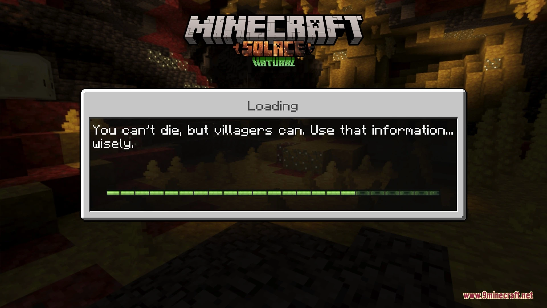 Solace Natural Shader loading screen showing the pack's own logo