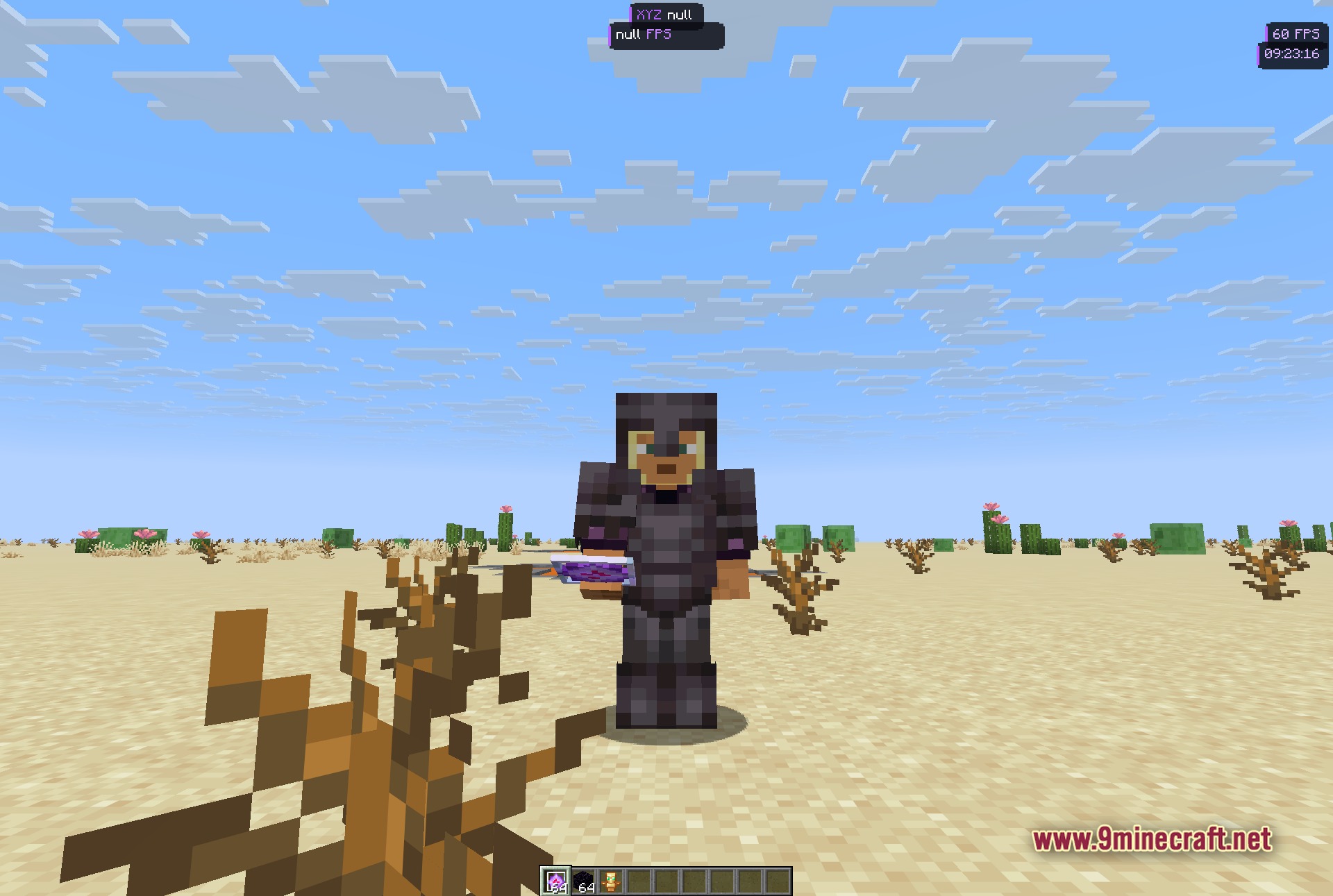 Swyzzy Client Mod Screenshot 3