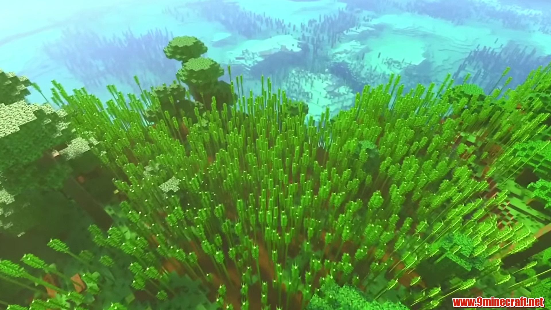 Lush Bamboo Jungle Island and Coral Lagoon Seed - Minecraft 26.2