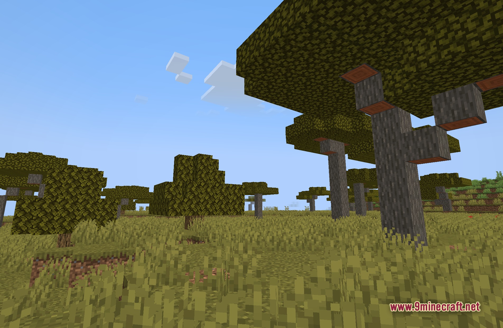 Vivid Horizon Ultimate Shaders (26.2, 1.20.1) – PBR Textures and Colored Lights — screenshot 6