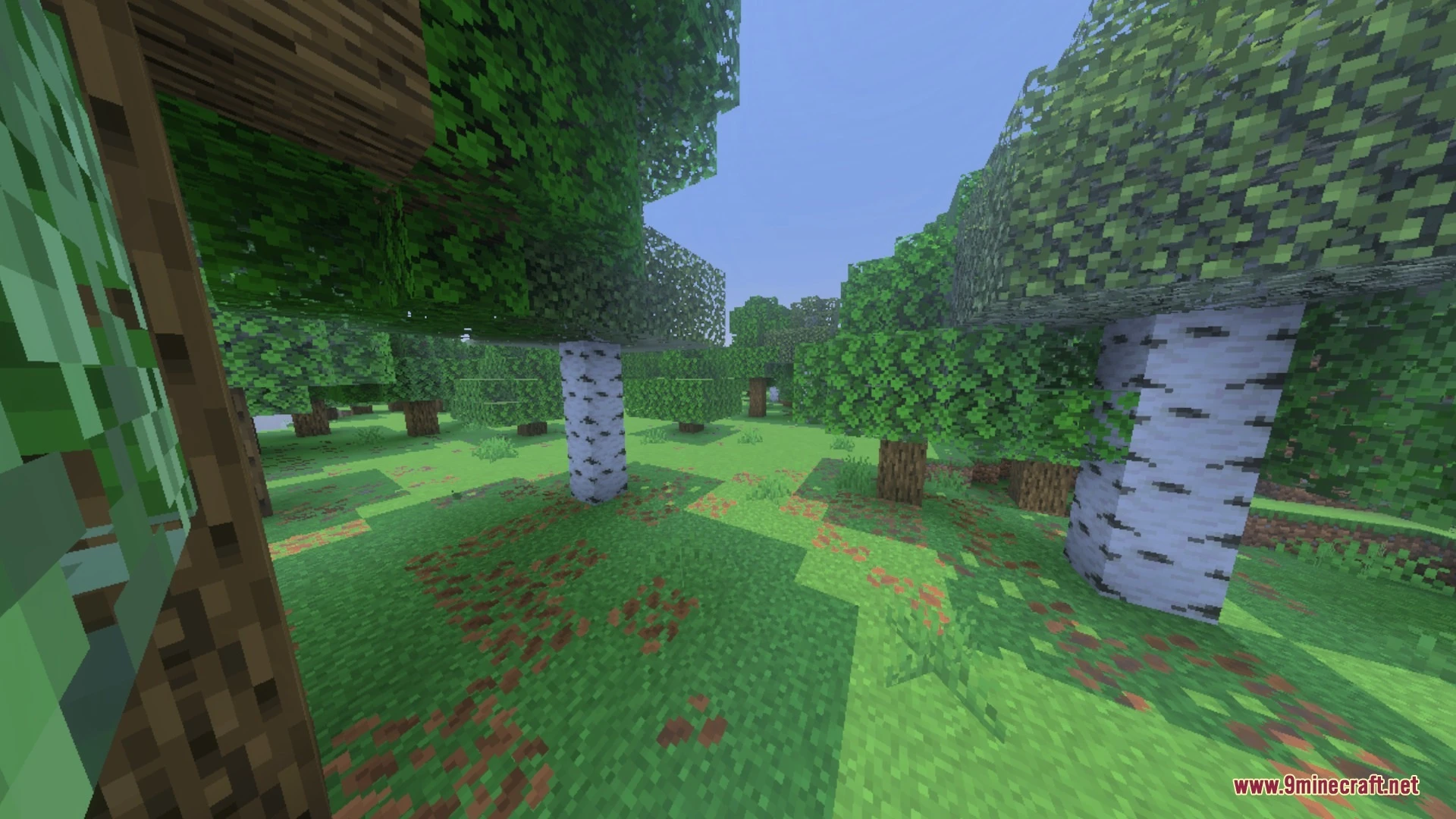 Balanced Clear Ocean Shader (26.x, 1.21) – Clean Water Visibility — screenshot 2