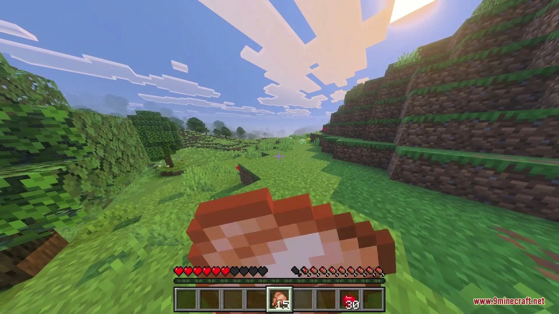 Java Regeneration and Saturation Addon Screenshot 4