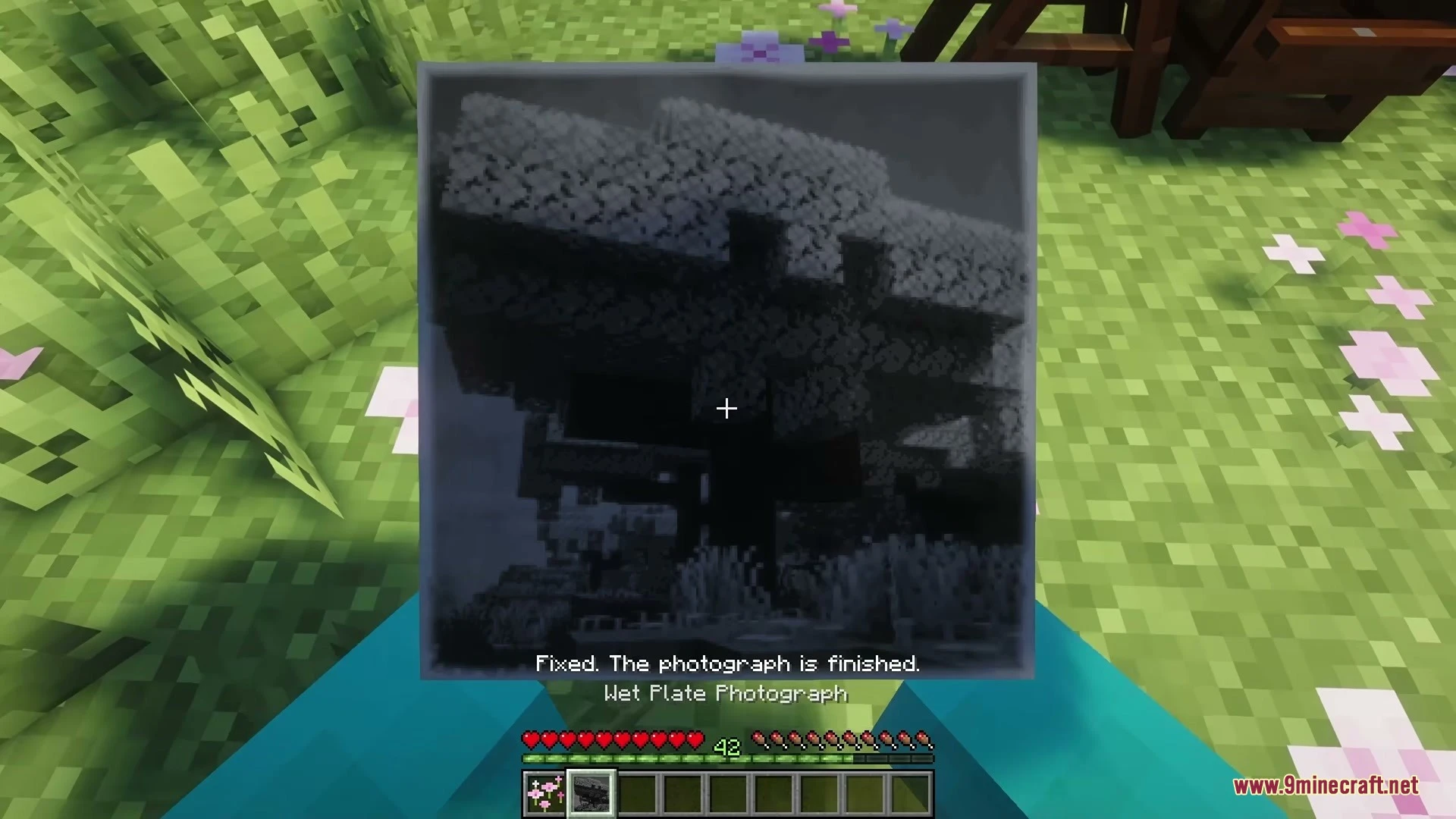Old Glass Photograph Mod Screenshot 10
