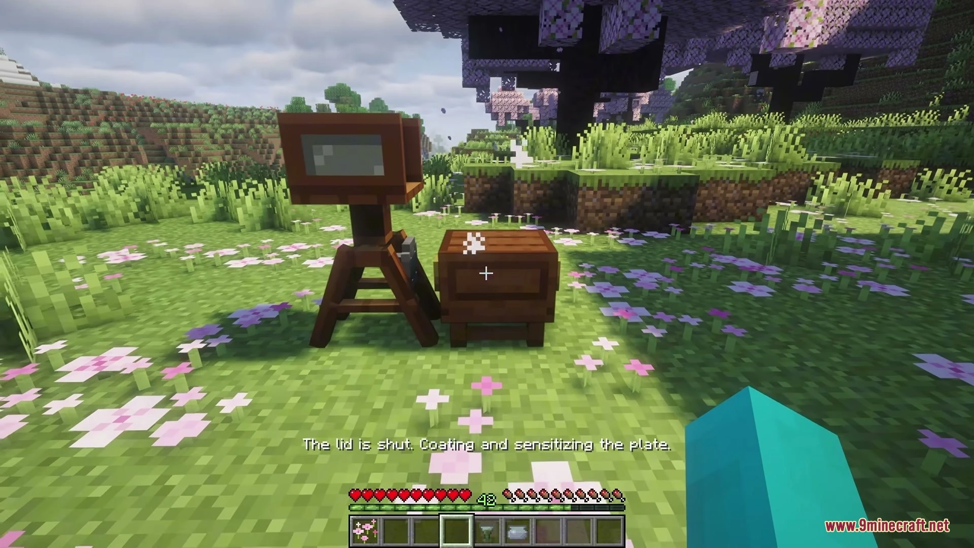 Old Glass Photograph Mod Screenshot 2
