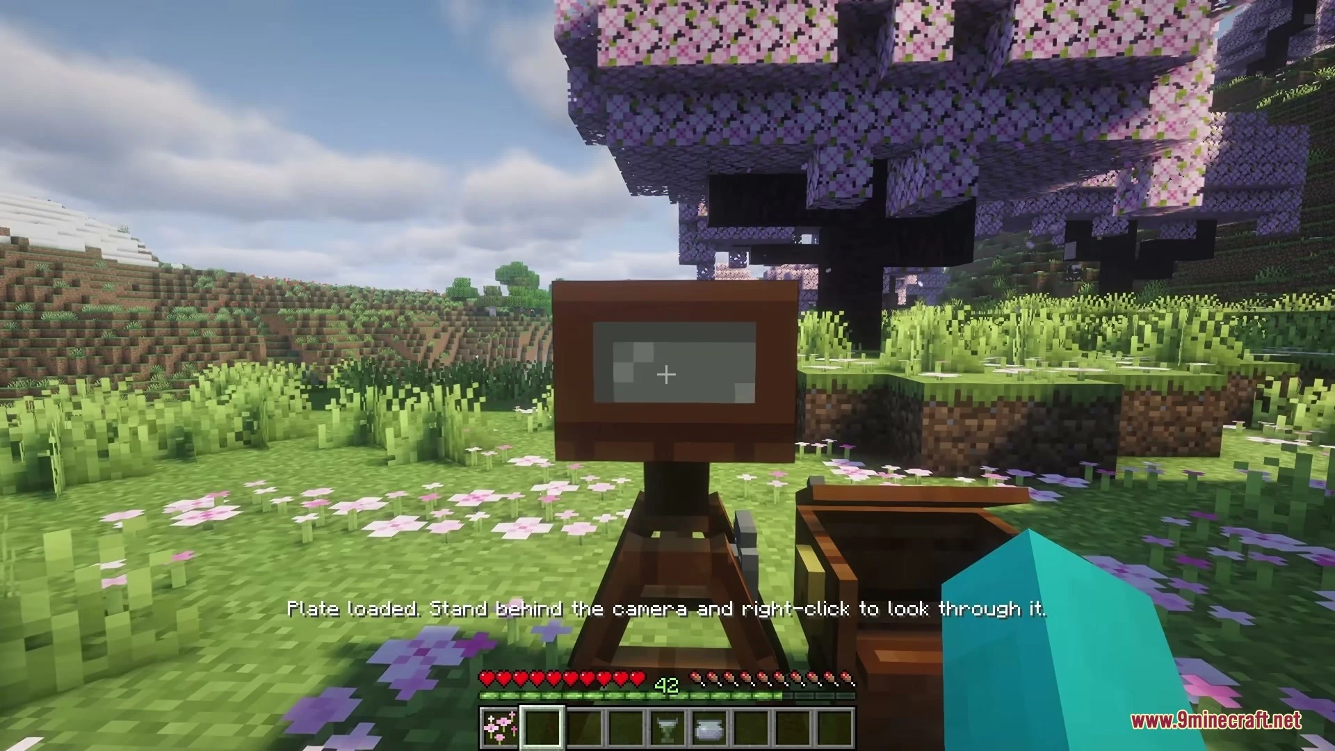 Old Glass Photograph Mod Screenshot 5