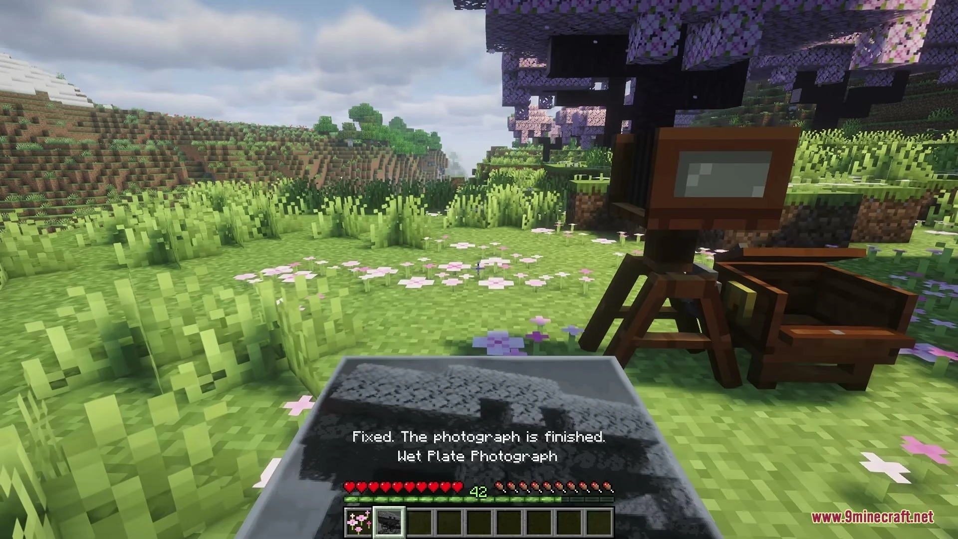 Old Glass Photograph Mod Screenshot 9