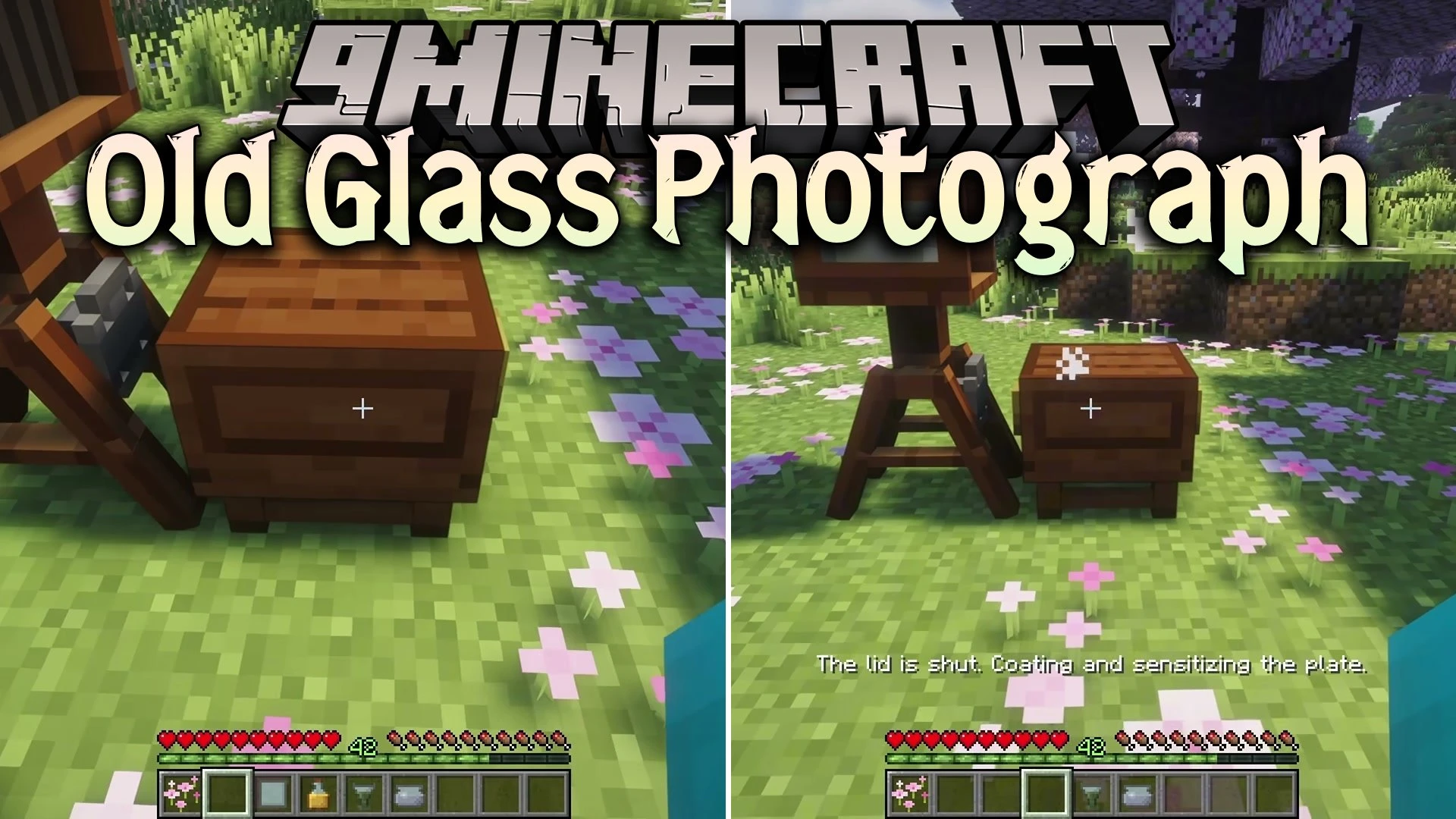 Old Glass Photograph Mod