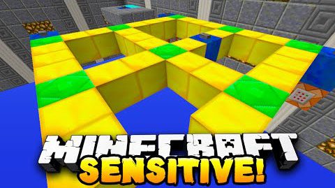 Sensitive-Puzzle-Map