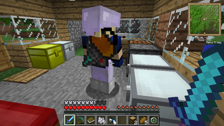 Player in house with modded items