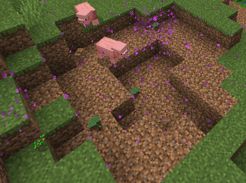 Two pigs in a dirt pit with purple flowers