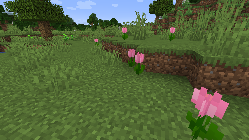 Pink tulips in a grassy field