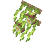 Green and pink plant with white flowers