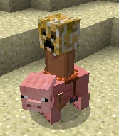 Creeper riding a pig in desert