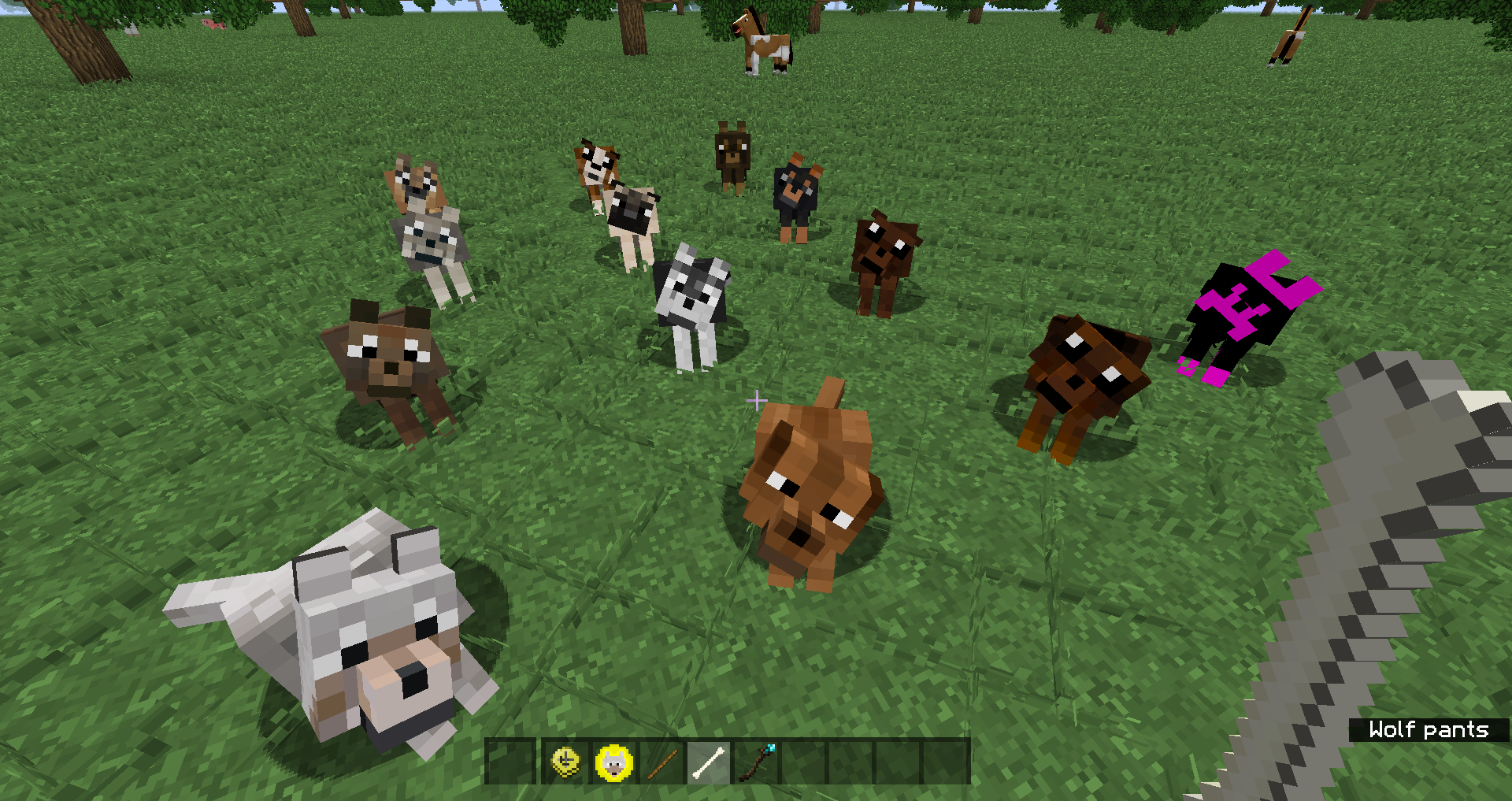 All of the built-in dog textures the selector cycles through, shown in-game