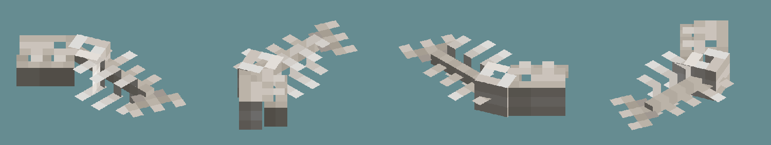 Four views of a skeleton block